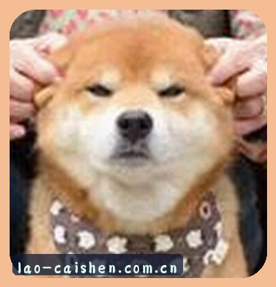张伟